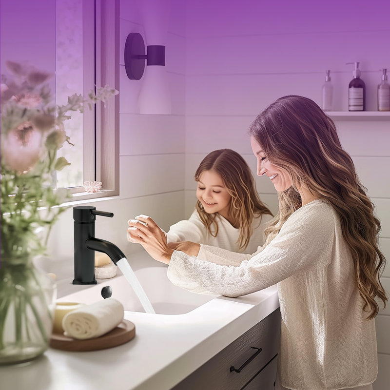 Single hole 1-handle WaterSense Low-arc Commercial/Residential Handle Bathroom Sink Faucet with Drain, Matte Black