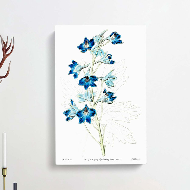 Blue Larkspur Flowers - Wrapped Canvas Painting, 60cm H x 40cm W x 3cm D