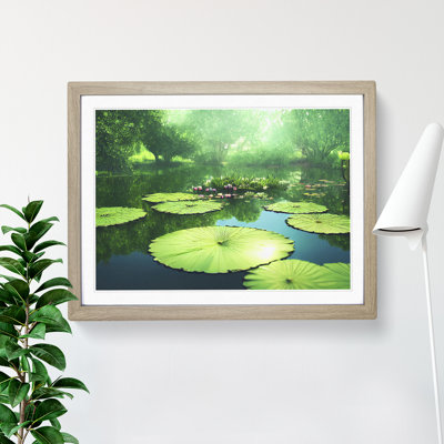 Blissful Water Lily Pond - Framed Print