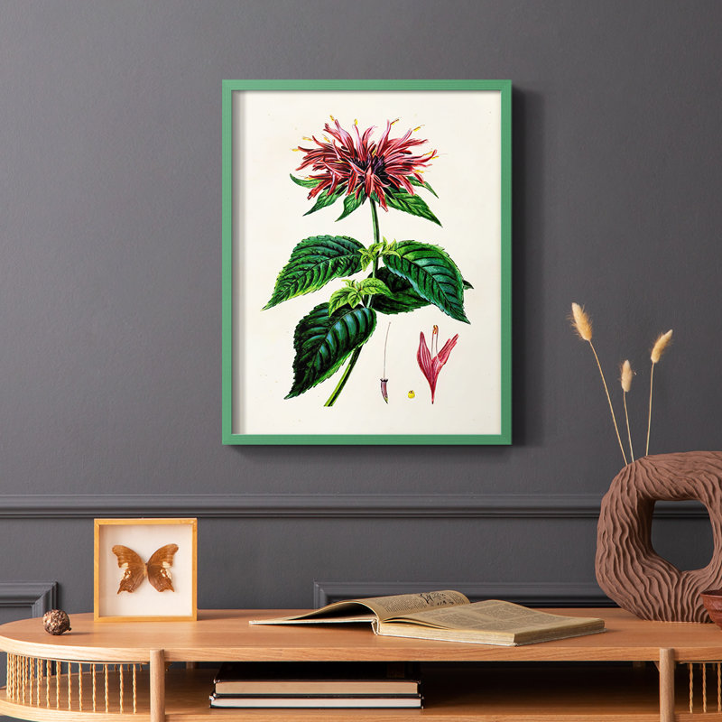 Reproduction encadrée de floral antique I - bois massif, Vert, H 10 po x l 8 po