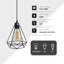5 - Light Mixed Novelty Pendant
