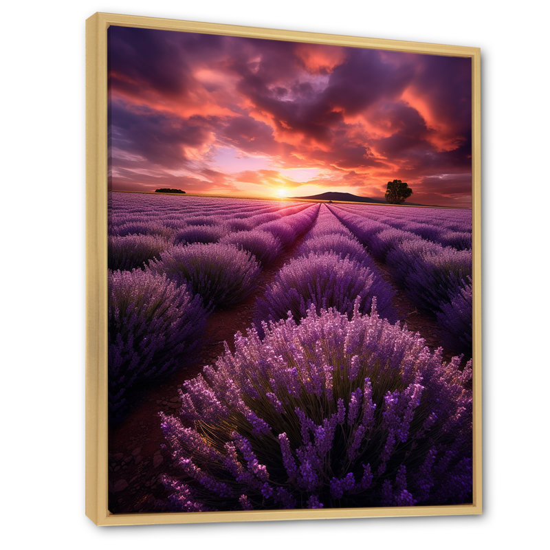 Lavender Enchanting Lavender " Lavender Enchanting Lavender ", 32" H x 16" W x 1" D, Natural Floater Framed
