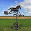 Girouette Muamir au galop