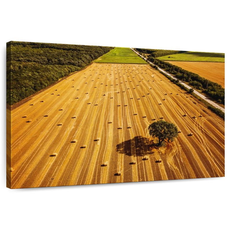Alvord Hay Bales Fields, 30" H x 45" W