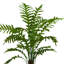 Ridgewood Faux Fern Tree in Fiberstone Planter
