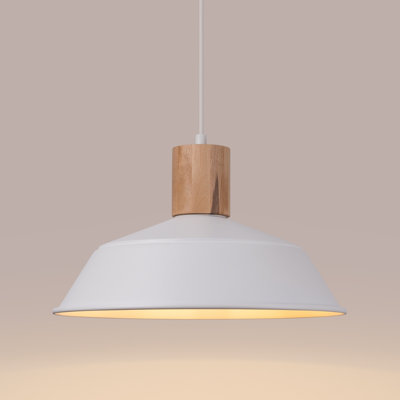 1 - Light Stainless Steel Pendant