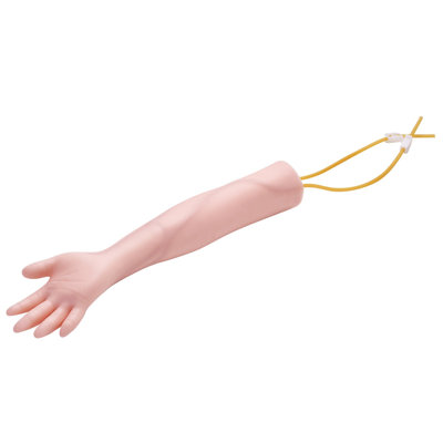 Trousse de pratique de la phlébotomie, trousse de formation intraveineuse par intraveineuse par intraveineuse, bras de pratique de haute simulation avec sac de transport, pratique et compétences IV parfaites, pour les étudiants, les infirmières et les professionnels