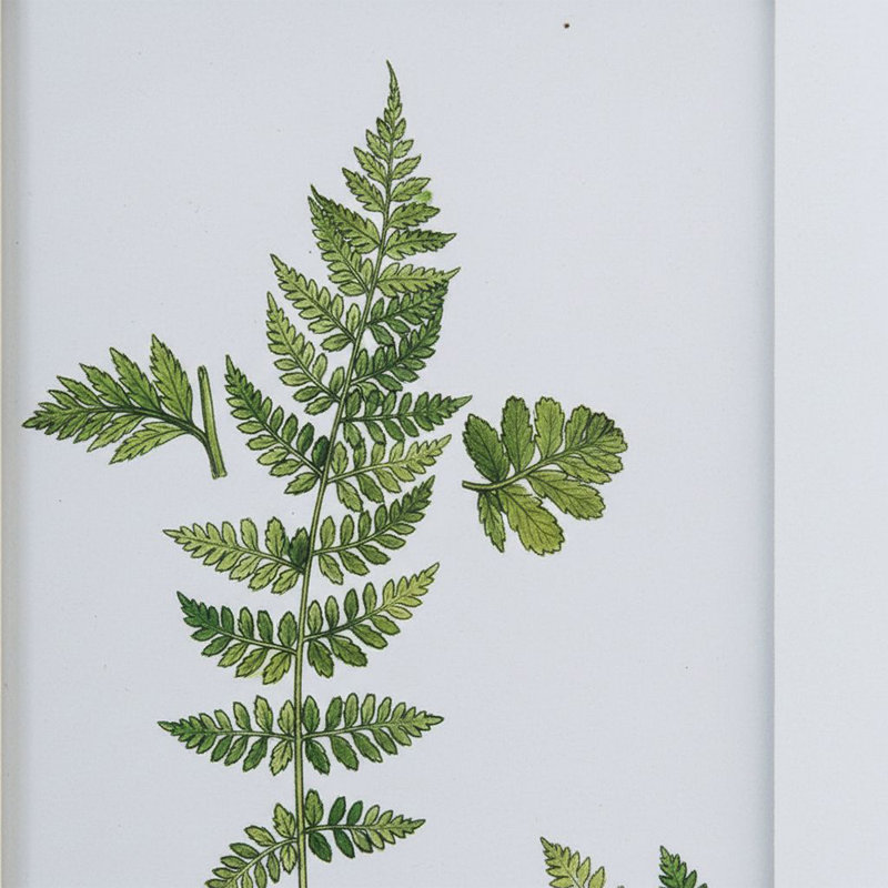 Art mural encadré botanique, feuille verte, art mural