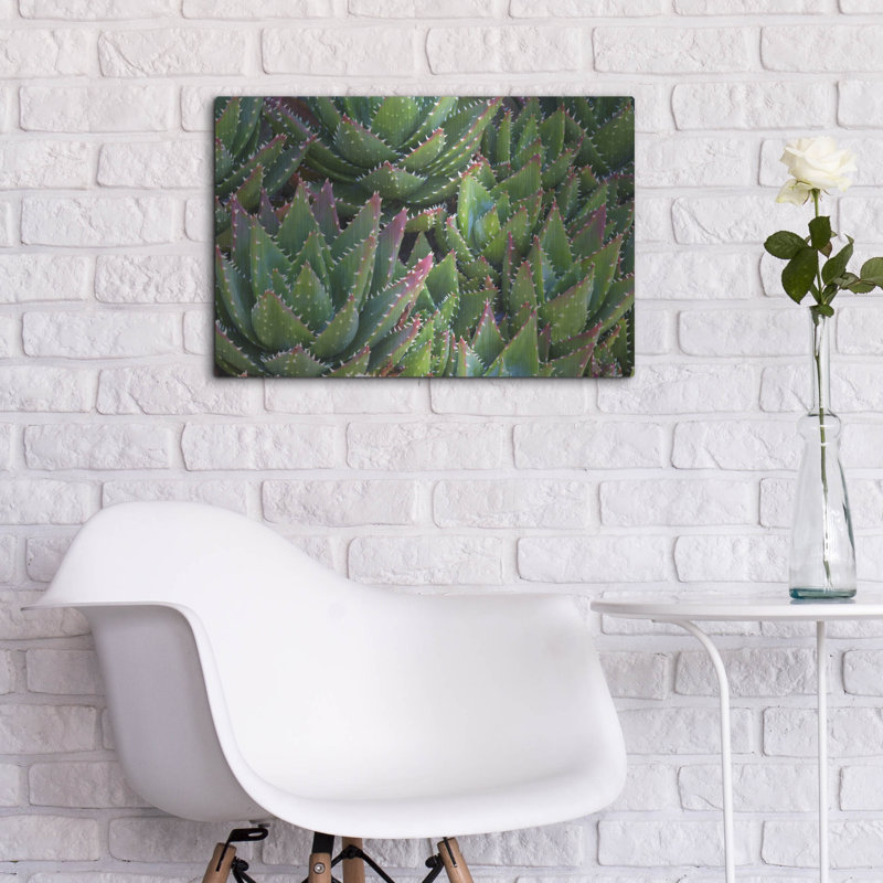 «Succulents II» par Dennis Frates, H 16 po x l 24 po