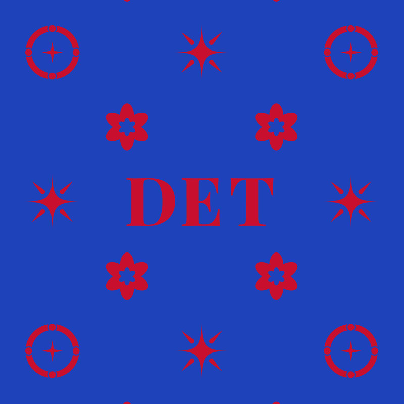 Coussin 20 po x 14 po Detroit Basketball Colors, Rouge / Bleu