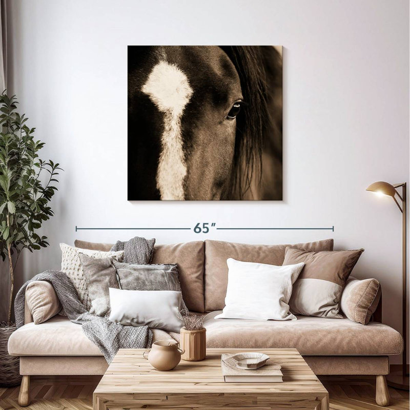 Brampt Dark Eyes, 39'' H x 39'' W