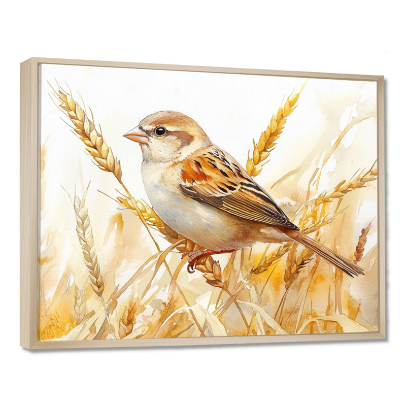 Moineau domestique, oiseau parmi les blés IV - art mural oiseau, H 12 po x l 20 po, Cadre flottant, Crème, crème