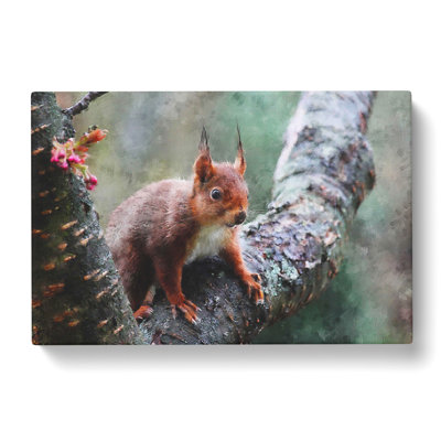 Red Squirrel Vol.1 - Wrapped Canvas Print