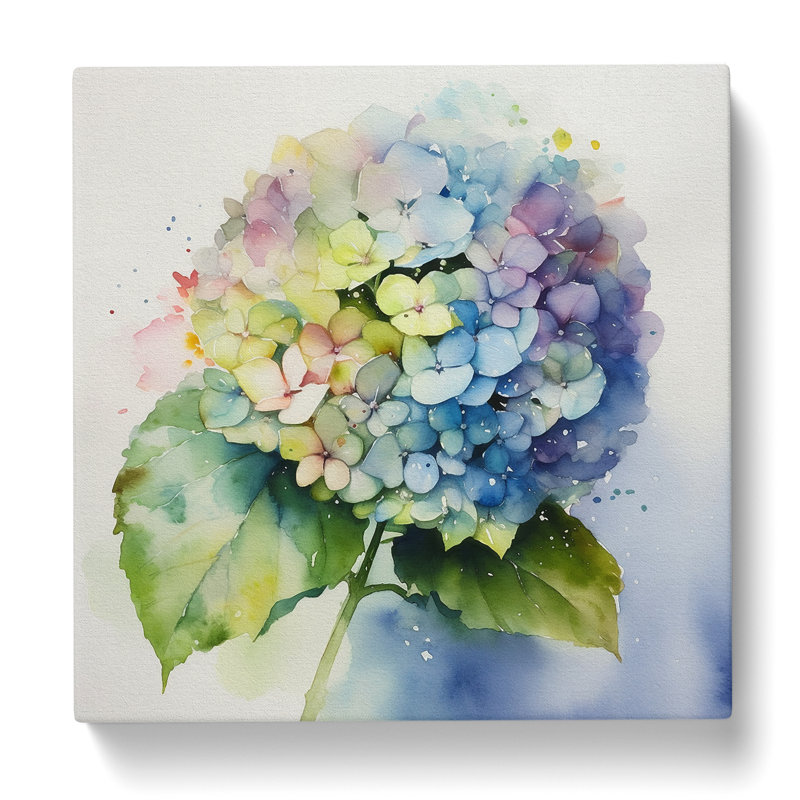 Hydrangea Watercolour No.4 - Wrapped Canvas