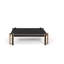 Pirwi Marble Coffee Table-73223382