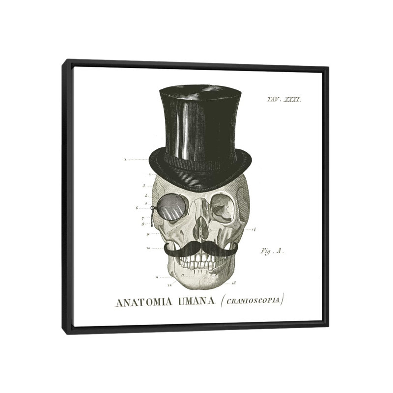 Dandy os i, impression sur toile tendue, H 18 po x l 18 po x P 1,5 po, Toile encadrée noire, Pas de tapis