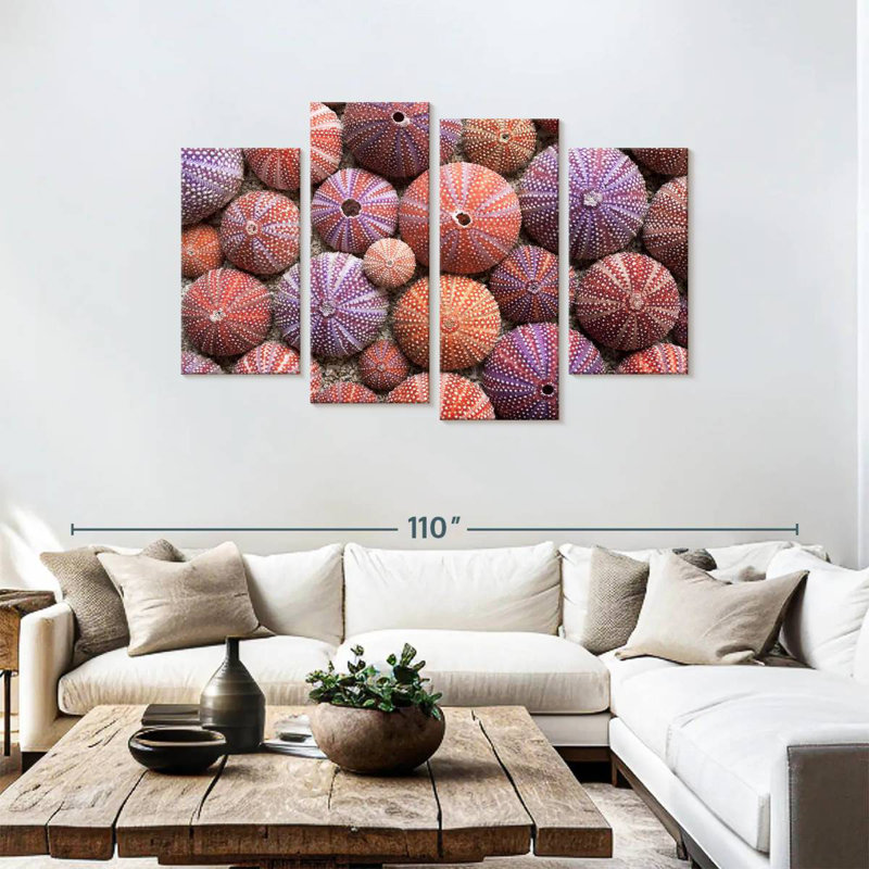 Brampt Empty Sea Urchin Shells, 48" H x 75" W