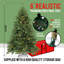 6FT H Lighted Artificial Pine Christmas Tree