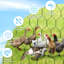 Poulailler de 192 pieds carrés avec couvercle imperméable pour 48 à 64 poulets-407723108