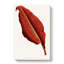 Red Leaf - Wrapped Canvas-55341545