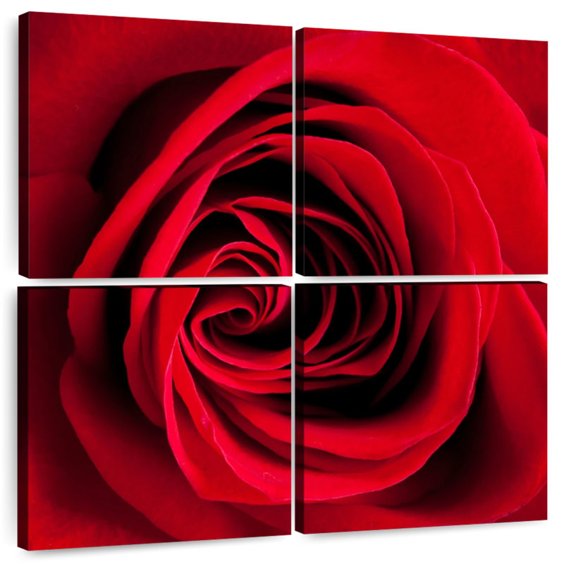 Harnek Red Rose In Bloom, 57" H x 57" W