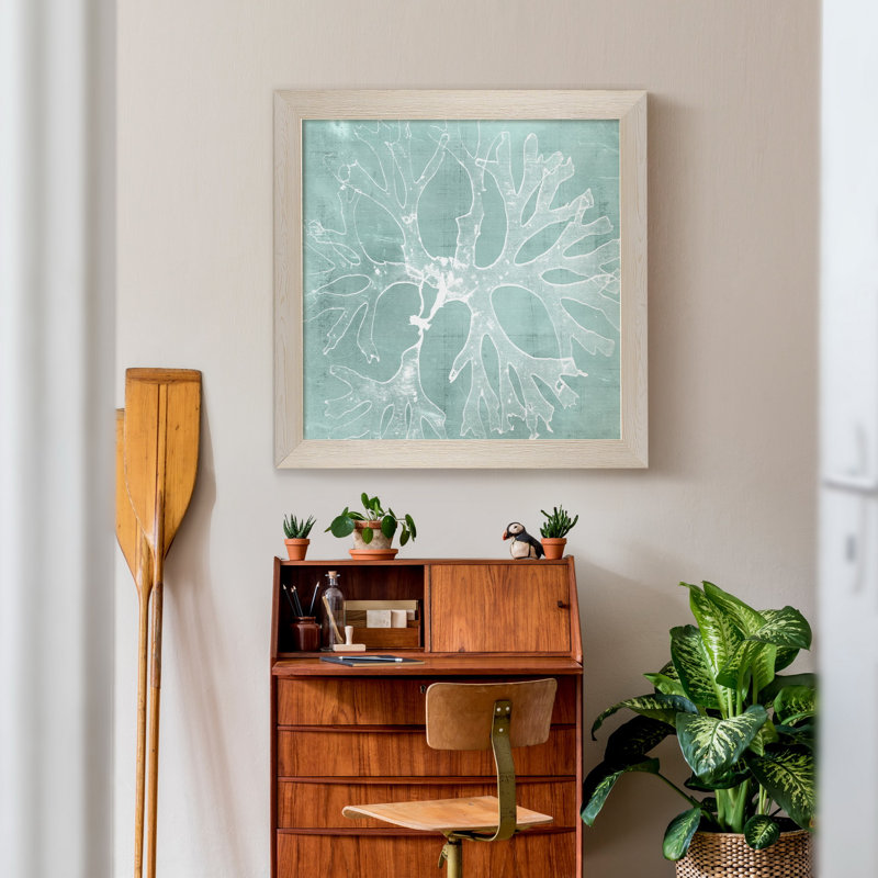 Seaweed on Aqua III - reproduction de cadre photo, H 31,5 po x l 31,5 po x P 1,5 po, Toile blanche encadrée, Pas de tapis