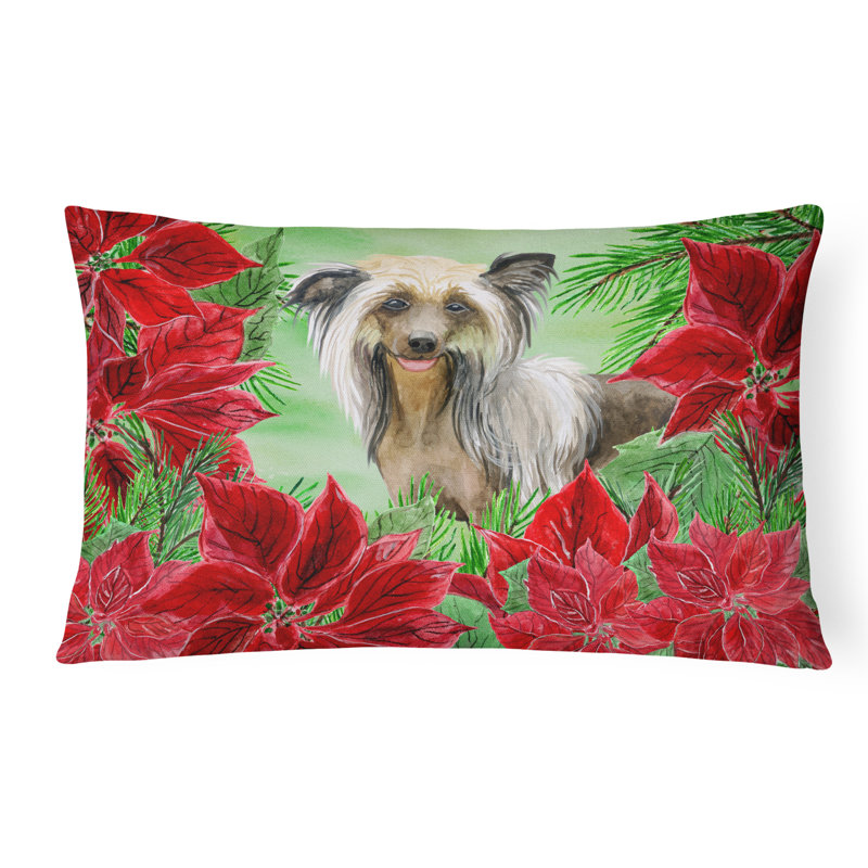  Coussin décoratif chinois