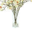 Butterfly Magnolias in Vase with Faux Water