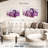 Alvord Purple Amethyst