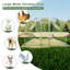 Poulailler Derverger-182399821
