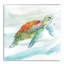 " Turtle Tropics I "-35608057-35608058