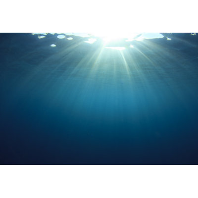 " Underwater Background "