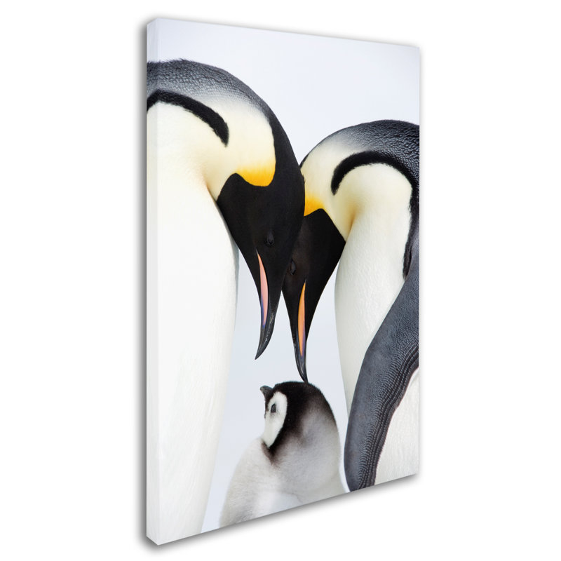 Ann «Baby Penguin», reproduction de photo sur toile tendue Ann, H 19 po x l 12 po