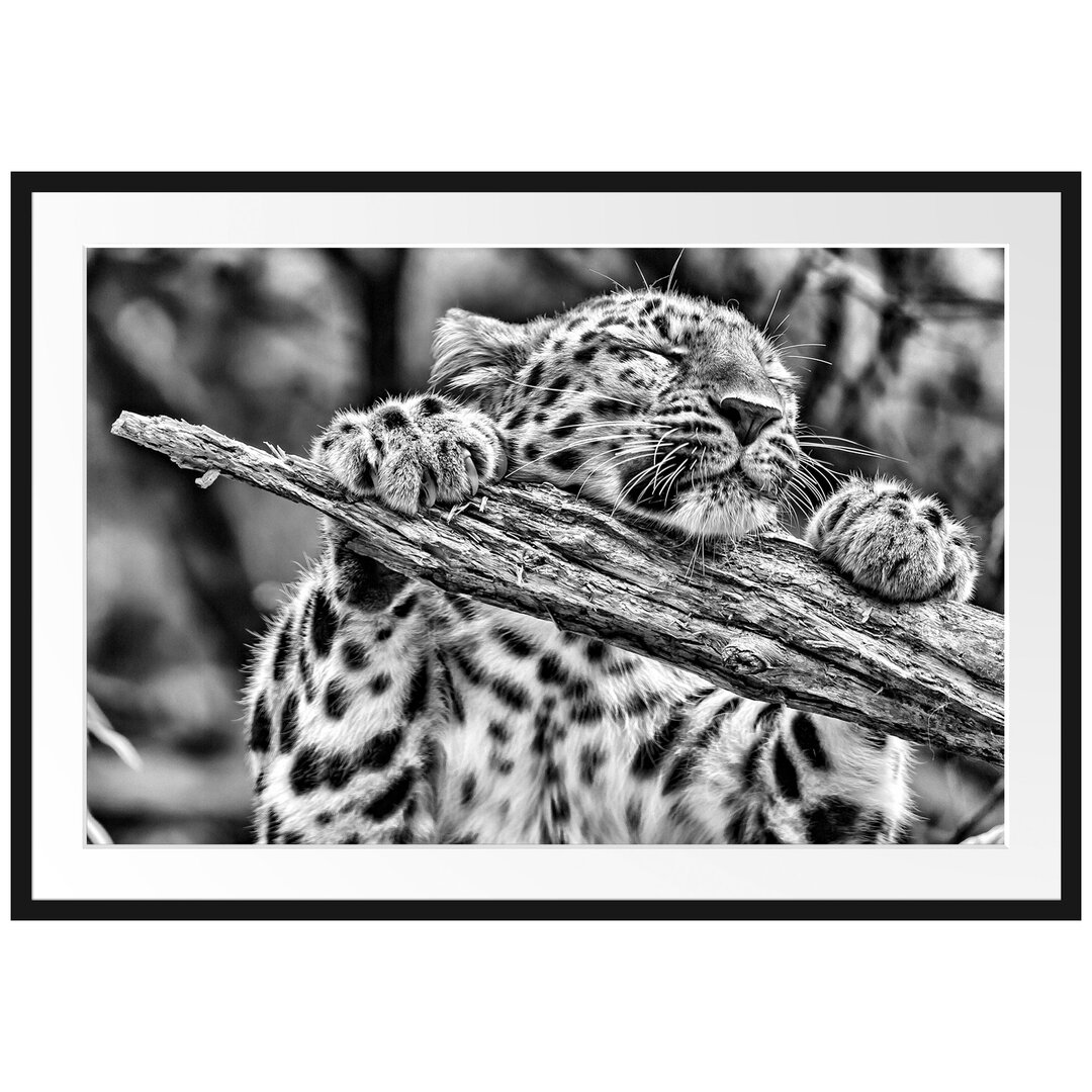 Gerahmtes Poster Verspielter Leopard