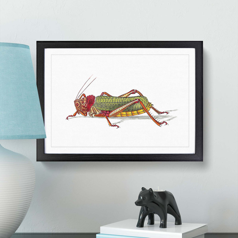Granulated Locust by George Shaw - Picture Frame Painting Print, 27cm H x 36cm W x 2cm D, Black Framed