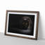 Black Cat with Yellow Eyes - Picture Frame Art Print on MDF-55512487-55512486