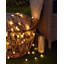 1992.9cm 200 - Bulb Standard String Light