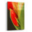 "Amaryllis" par Pamela Plummer-692713281
