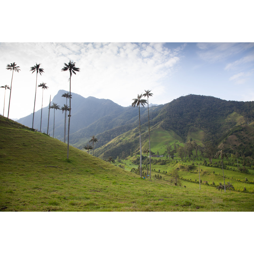 Cocora Valley, Kolumbien von Trafficanalyzer - Leinwandbild