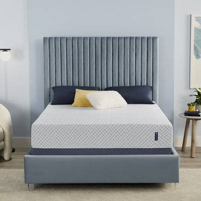 Serta Sheep Retreat Medium 10" Memory Foam Mattress by Serta