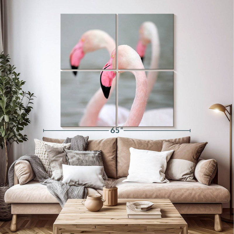 Flamants roses Brampt