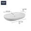 Essence Alpine White Oval Wall Mount Bathroom Sink with Overflow-59241580