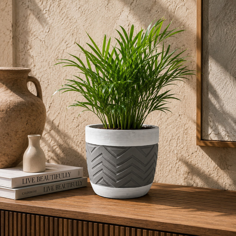 Pot de fleurs décoratif, motif à chevrons, gris et blanc 7 pouces terre cuite