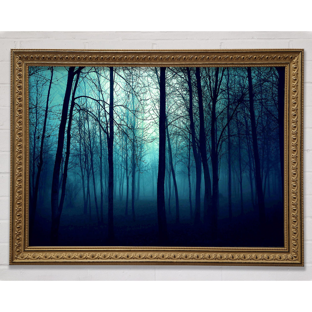 Dark Forest - Einzelner Bilderrahmen Kunstdrucke