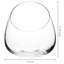 Glass Terrarium