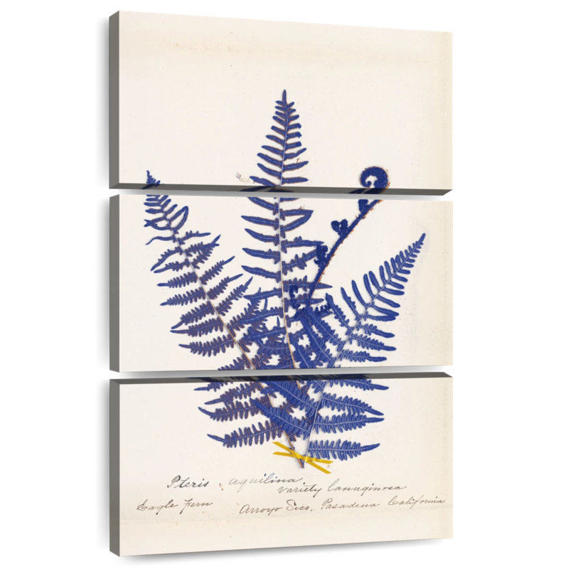 Harnek Botanical Fern IV, 65" H x 42" W