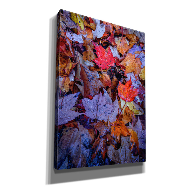Toile épique «Wet Leaves» par Rick Berk, graffiti épique, 18 po x 26 po