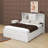 Queen Size Platform Bed With Drawers-566360459