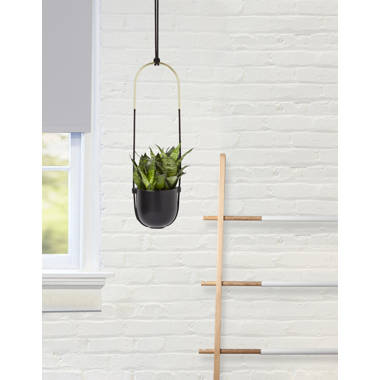 Gardenised 11.75-in Black Steel Contemporary Wall Hooks for Hanging Plants  - Set of 2 QI004482.2