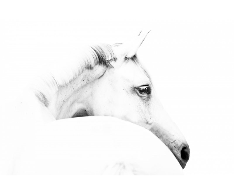 Wrapped Canvas Print, 81.28cm H x 121.92cm W